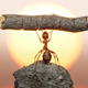 Image for article titled 10 Frightening Facts You Probably Didn't Know About Ants